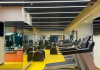 قاعة صالة الألعاب الرياضية thumbnail